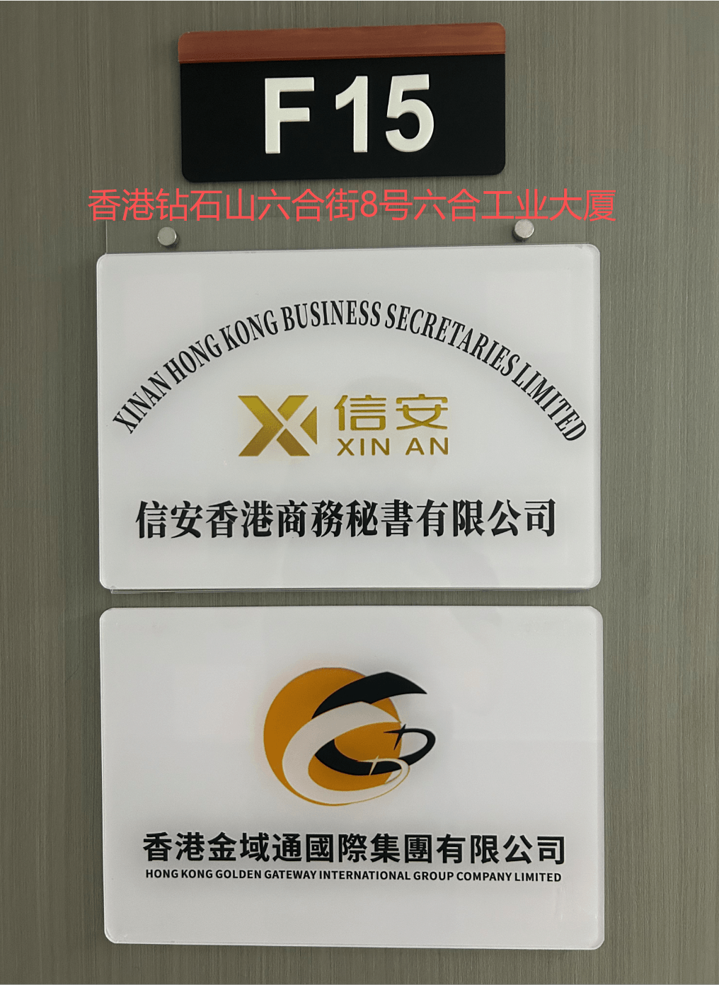 高才天地试运营启幕！诚邀六合高才共筑优质生态圈